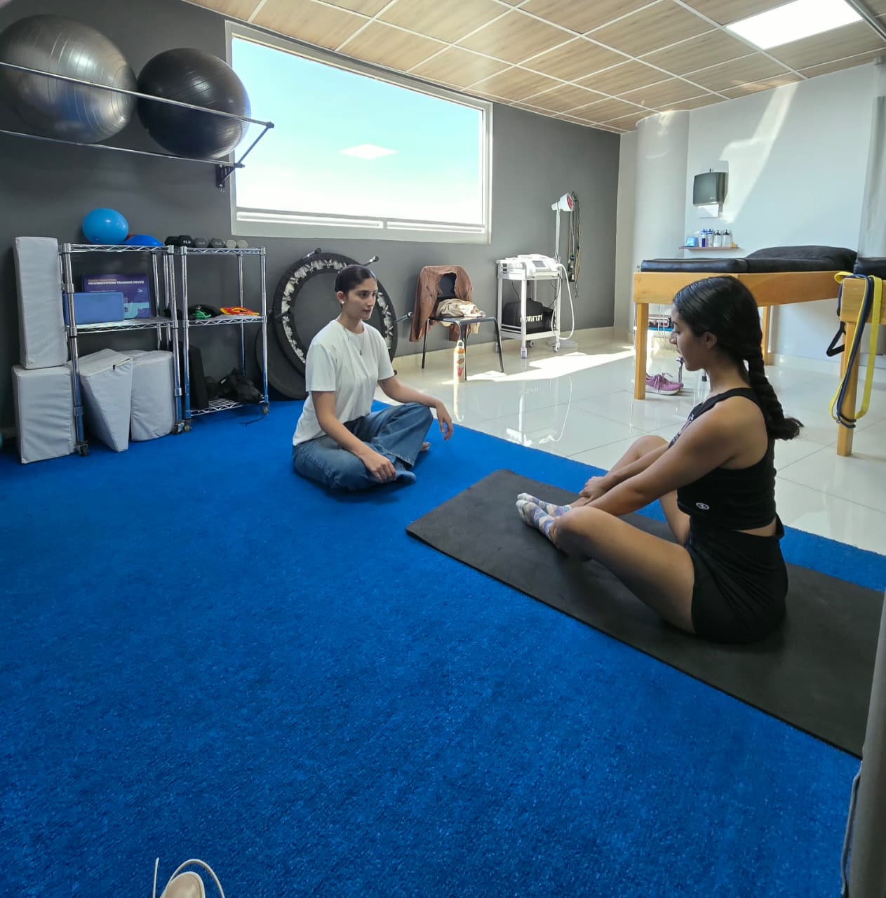 Fisioterapia integral Lumive